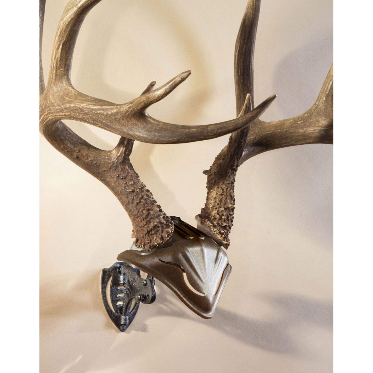 Skull Hooker Bone Bracket with Skull Cap in Graphite Black