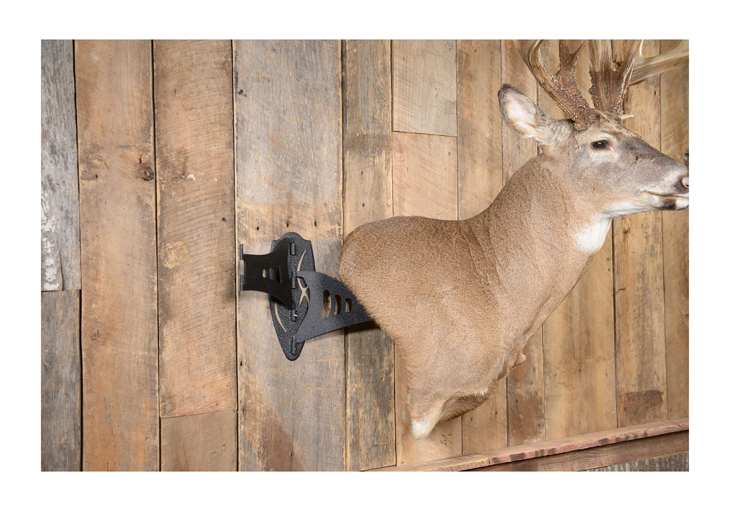 Skull Hooker powder-coated finish protects steel on trophy displays