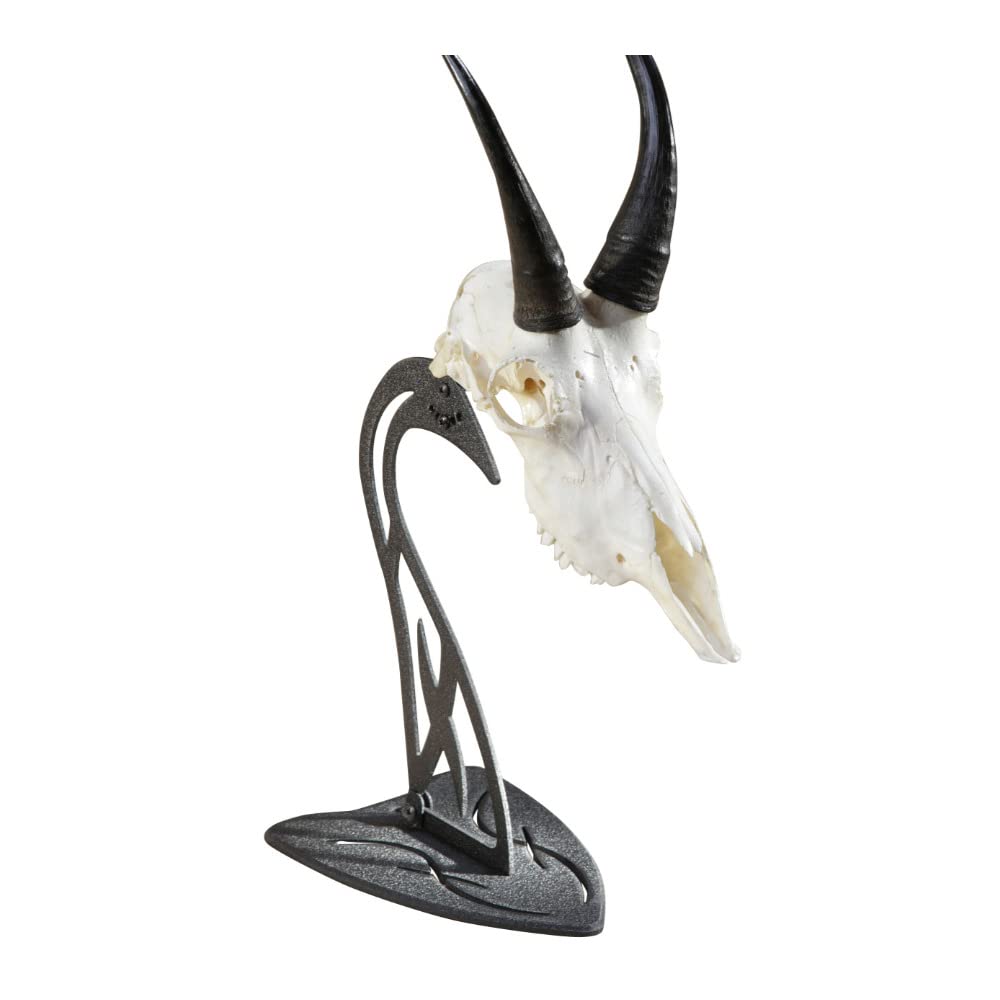 Skull Hooker Table Hooker prong showing secure no-drill mounting option