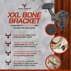 Skull Hooker XXL Bone Bracket wall mount demonstrates secure installation on a stud.
