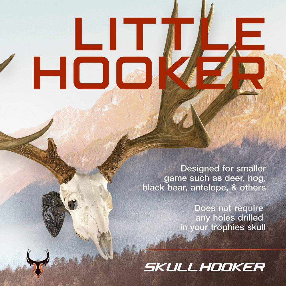 Adjustable Little Hooker arm allows precise upright presentation for varied skull sizes.