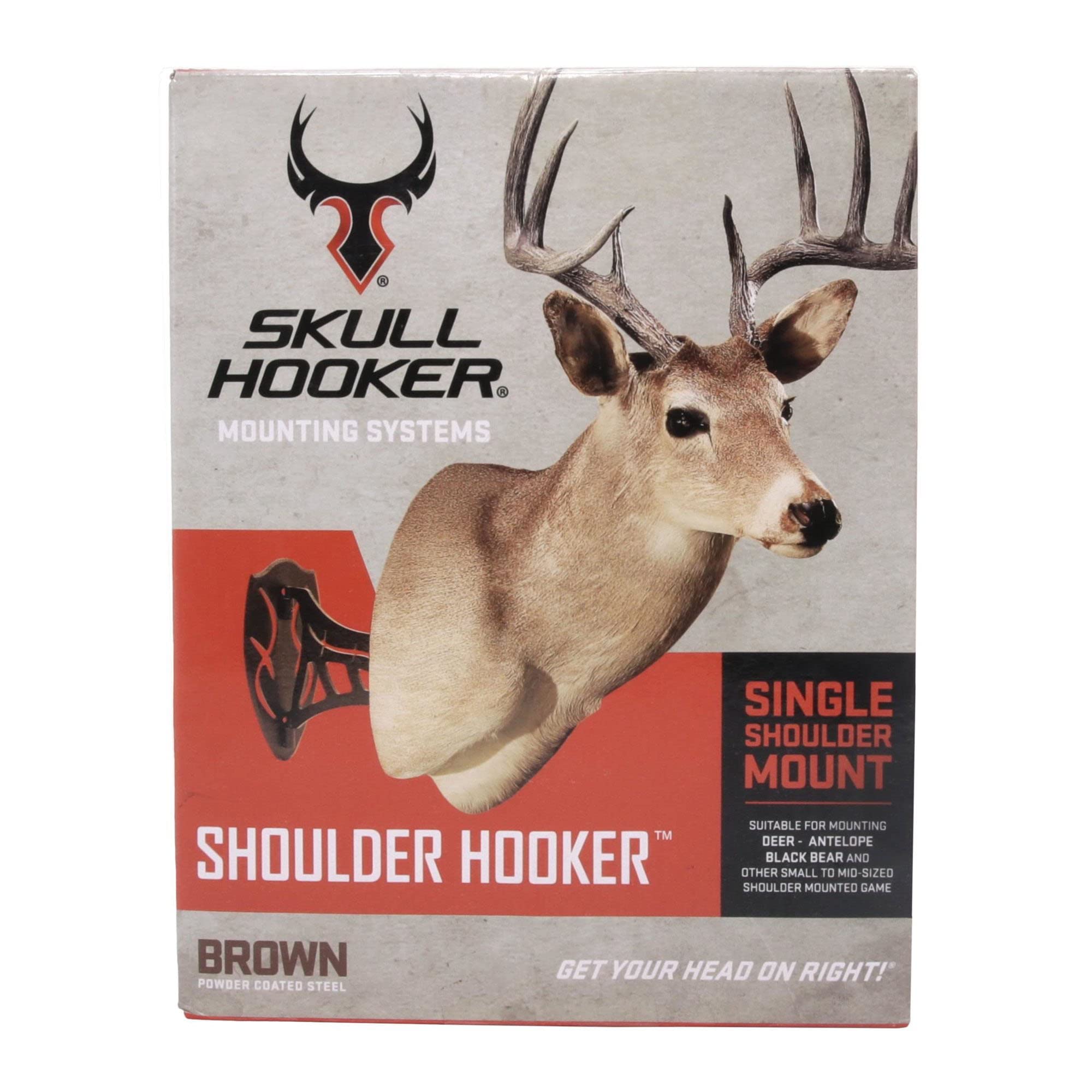 Skull Hooker small to medium game display in brown suits wall decor style
