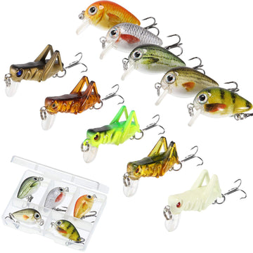 Skylety 10-piece mini fishing lures set with storage box