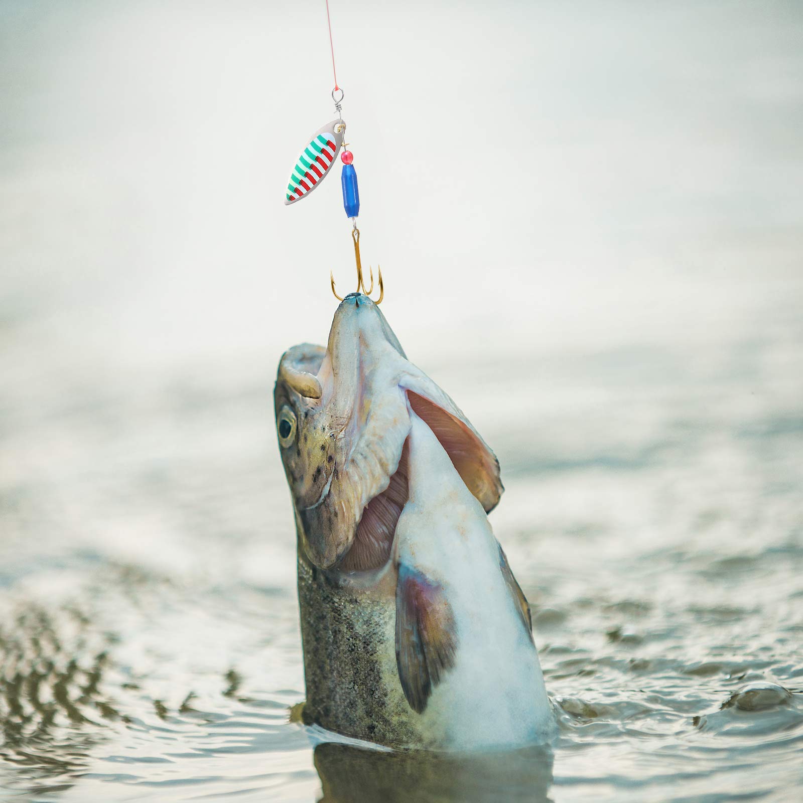 Gift-ready set of spinner lures for fishing lovers