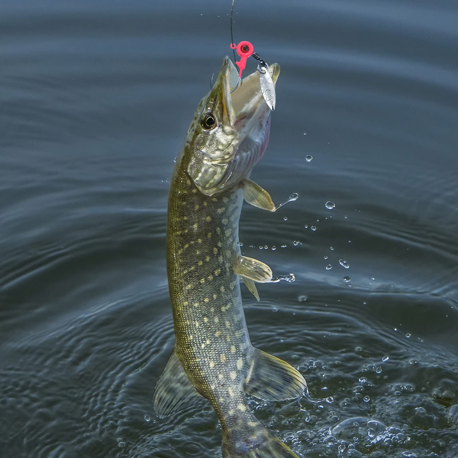 Kit designed for freshwater bass and crappie fishing