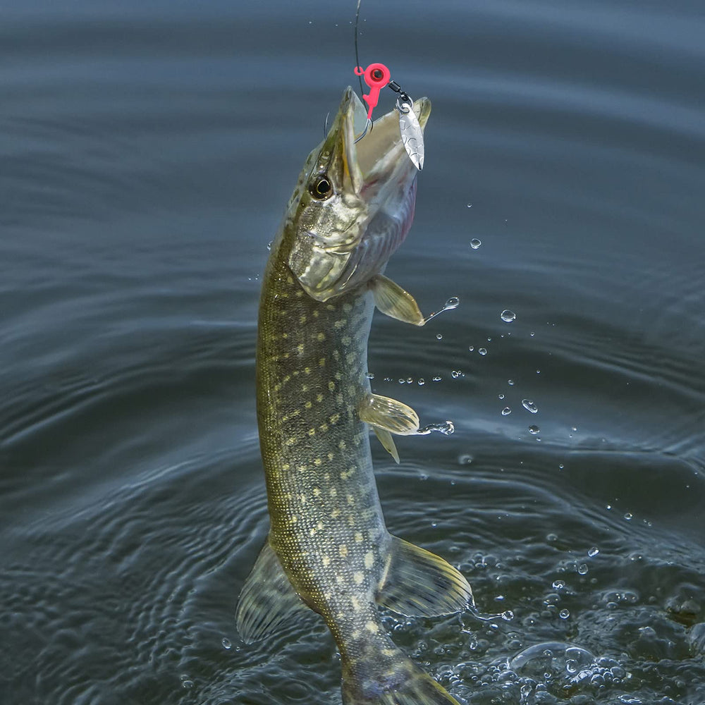 Kit designed for freshwater bass and crappie fishing