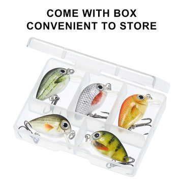 Packaging box containing 10 mini fishing lures