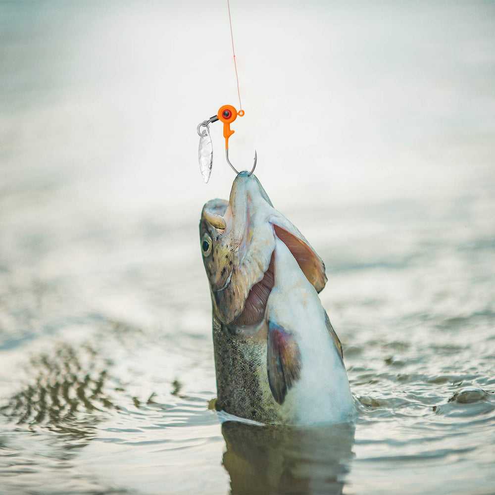 Jig heads suitable for freshwater and saltwater fishing (bass, crappie)