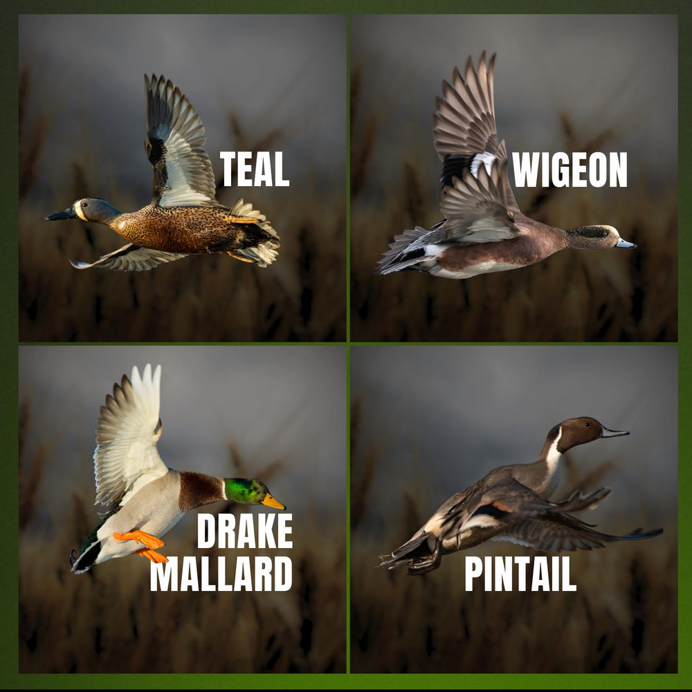 Slayer Calls Call The Wild Whistler’s Mother 4-in-1 duck whistle close-up with vocalizations for mallards and teals.