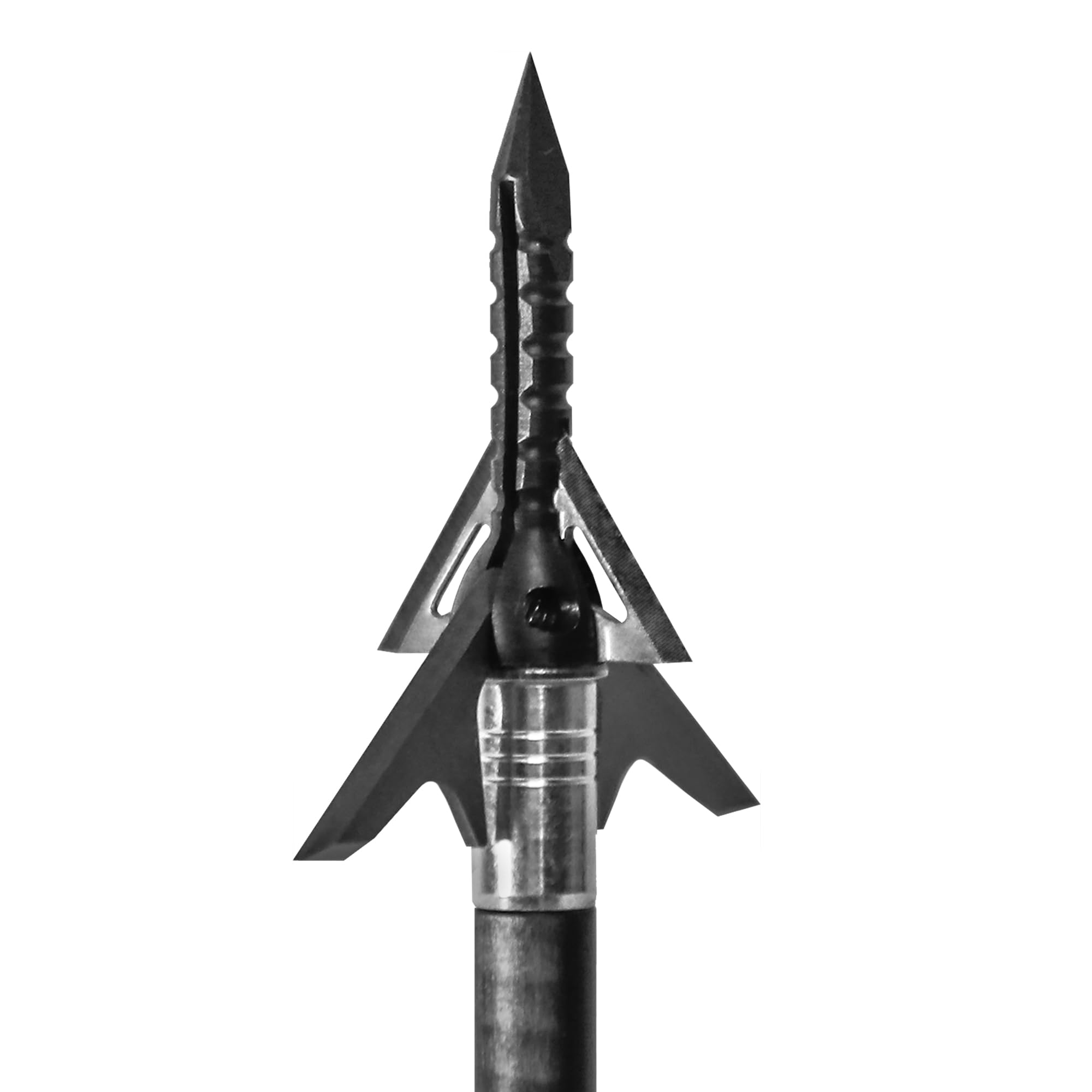 Slick Trick Assailant broadhead showcases expanded heads for precise field-point accuracy.