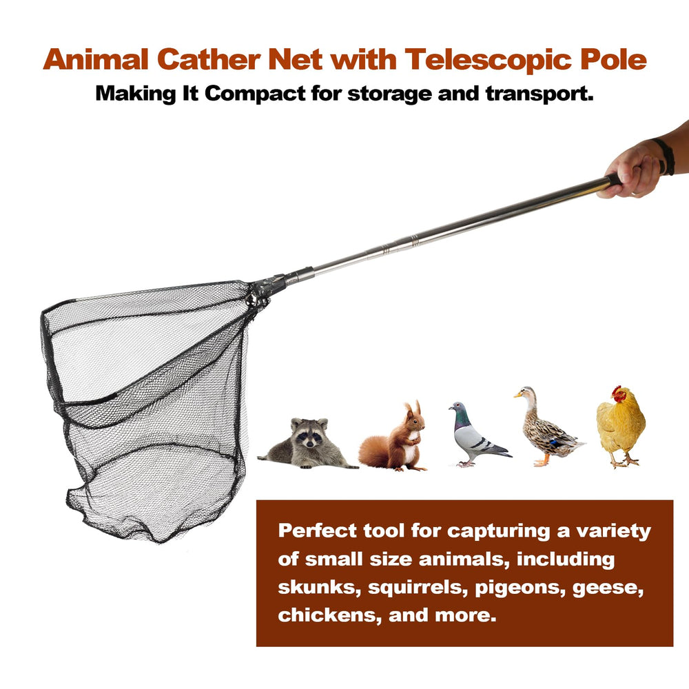 In-use: catching poultry with Smarkey net