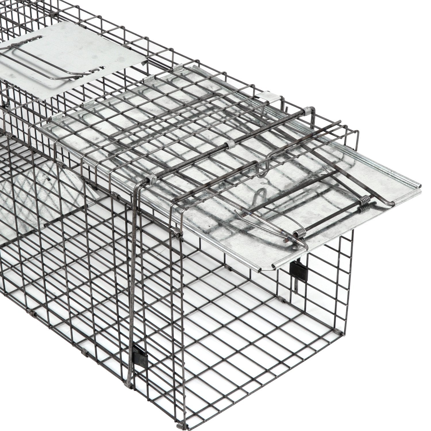 Smartxchoices 32-inch live animal trap safe indoors or outdoors around pets.