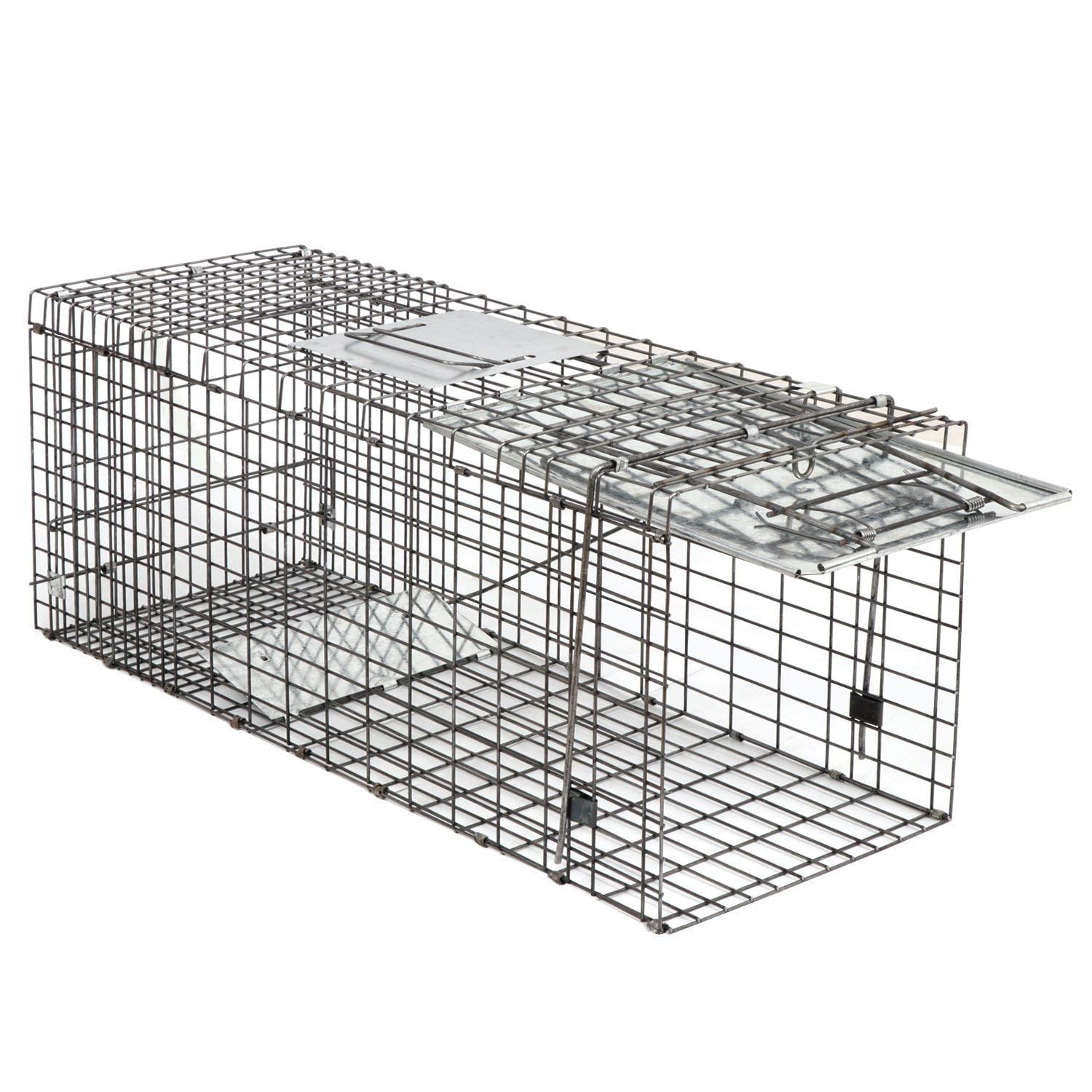 Smartxchoices 32-inch live animal trap portable storage when not in use.