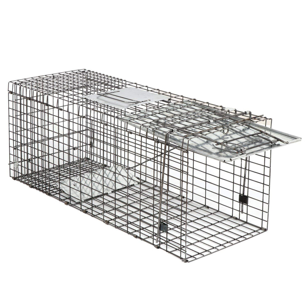 Smartxchoices 32-inch live animal trap portable storage when not in use.
