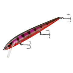 Smithwick Perfect 10 Rogue Minnow front view shows lifelike action to entice strikes.