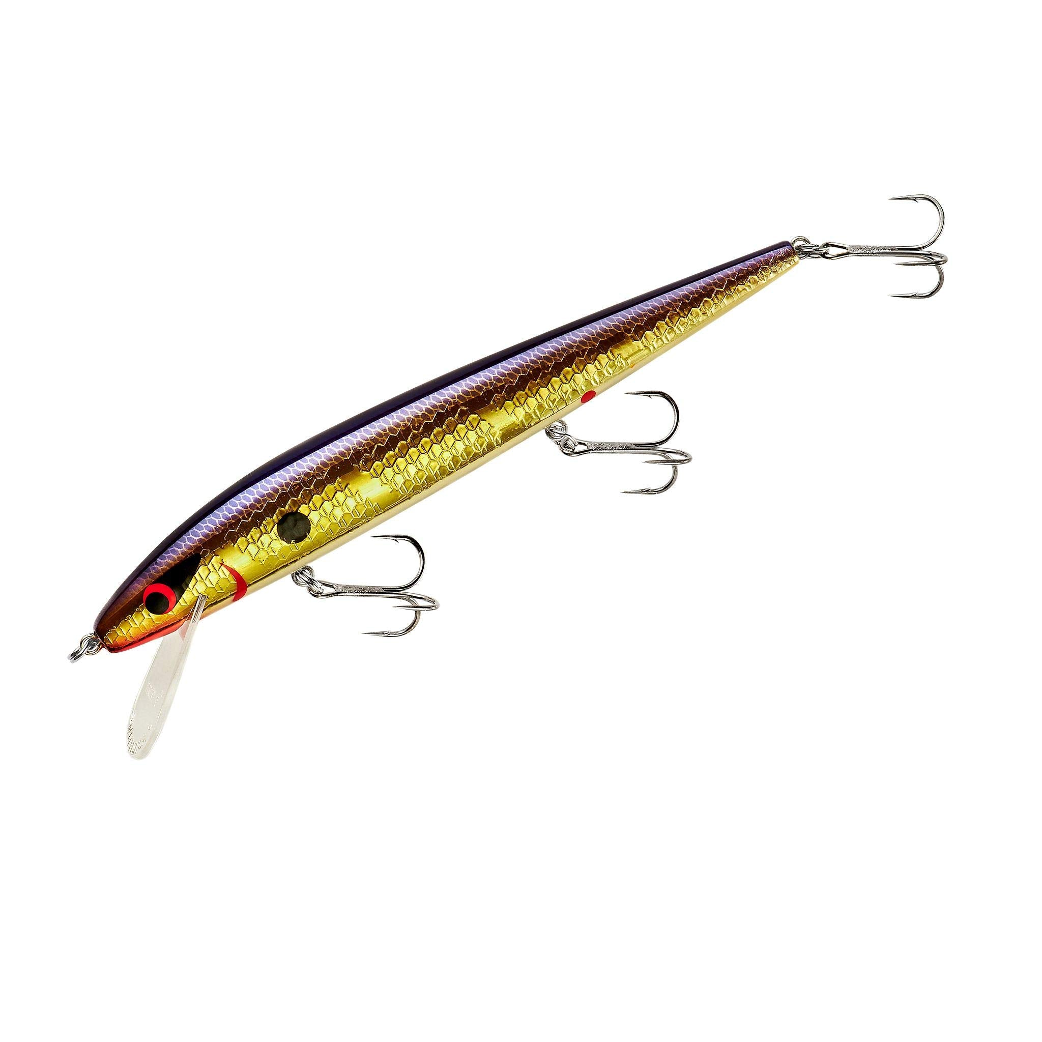 Smithwick Prfct 10 Rogue-Sour Grape diving action reaches deep water for larger fish.