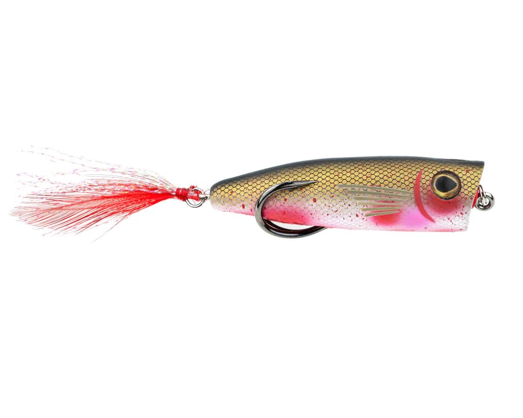 Snag Proof Zoo Pop topwater lure displaying bold surface action for bass fishing