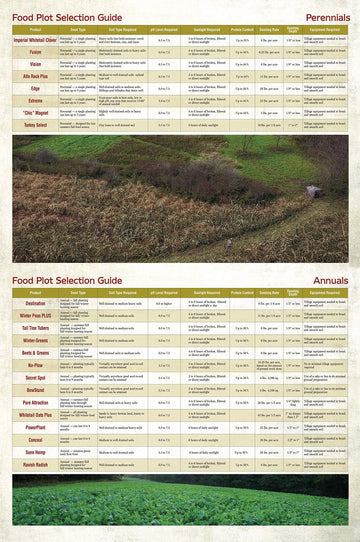 Soil aeration benefits from Ravish Radish planting improving root health