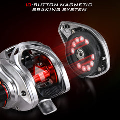 Detail of 9+1 bearings