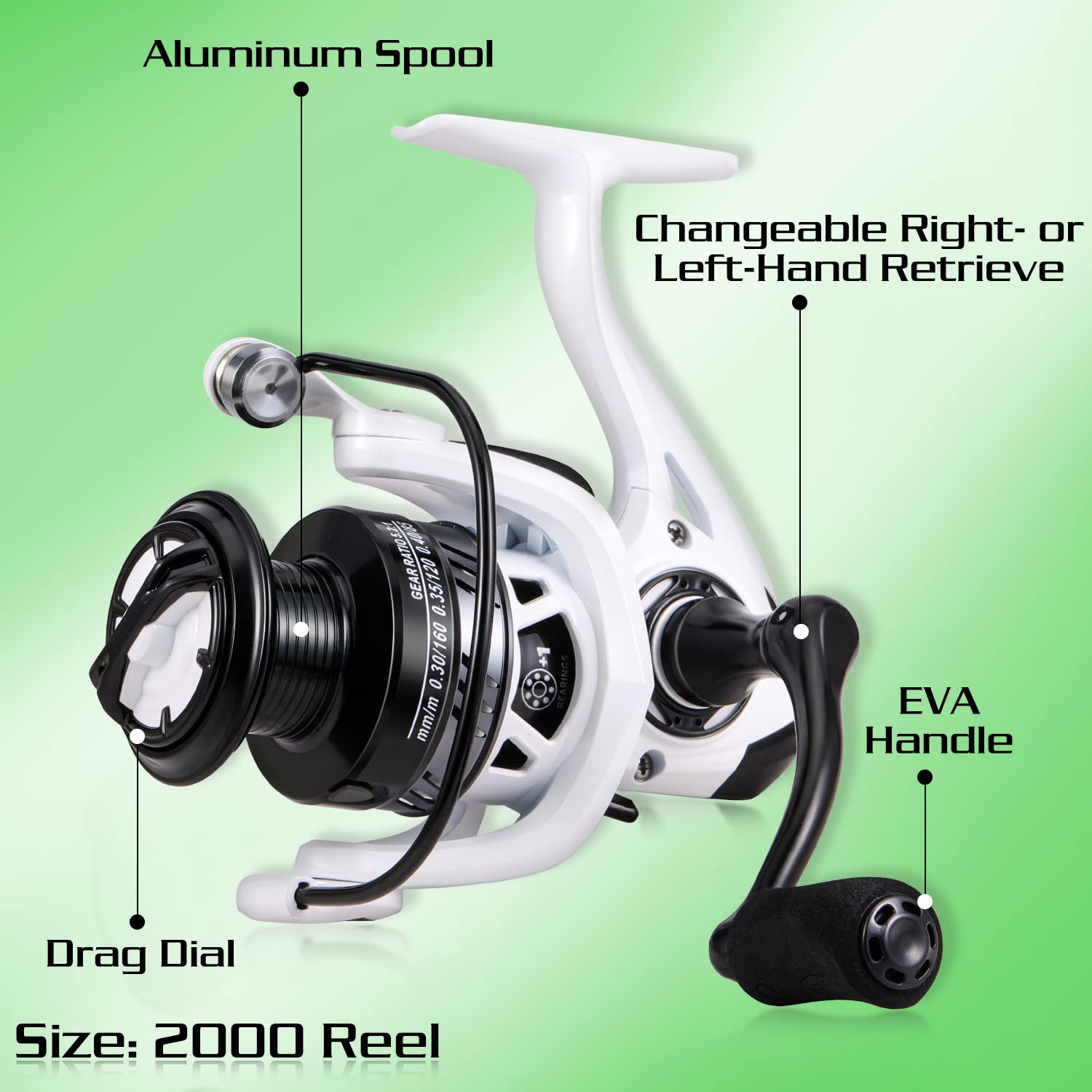 Sougayilang bass-walleye freshwater setup ready for dawn or late-evening uses.