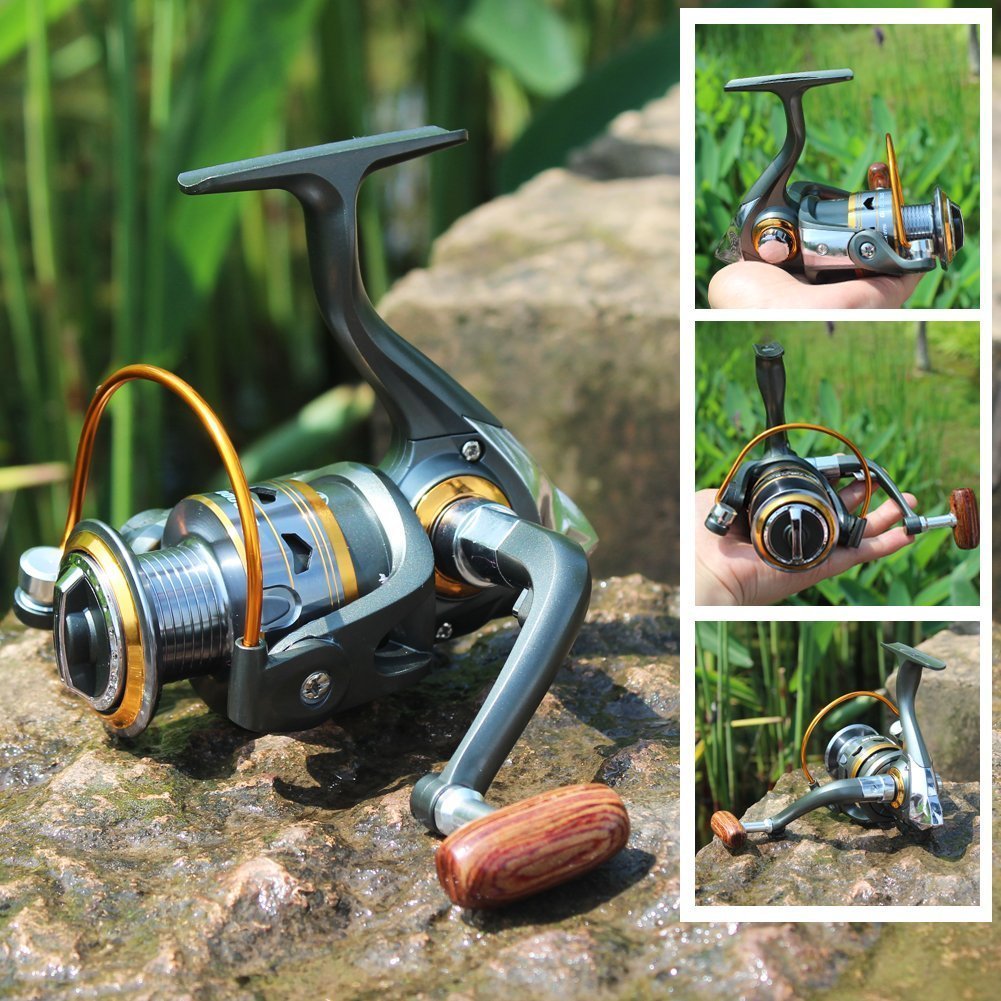 Sougayilang DK5000 in use at shore demonstrating versatile setup