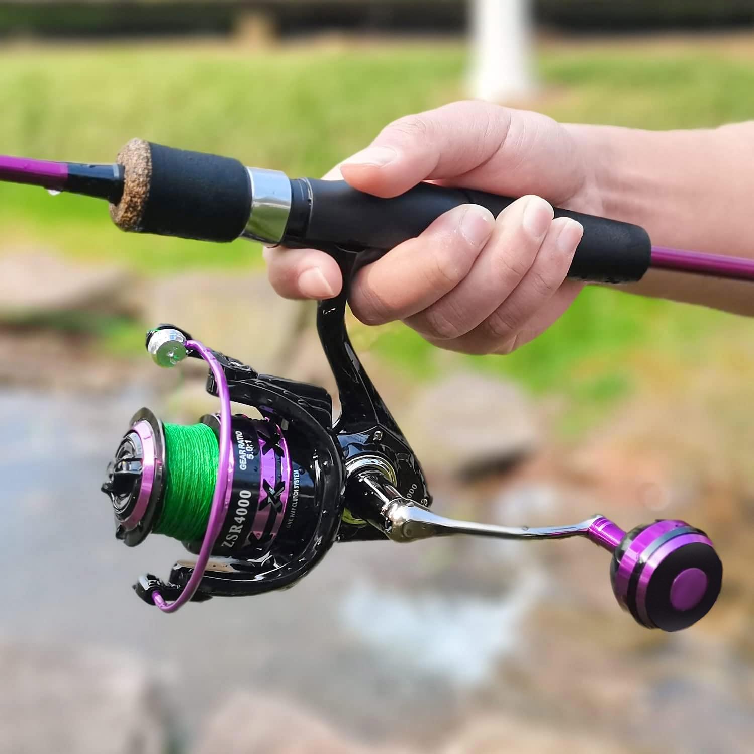 Sougayilang purple-and-black design blends fashion with functional freshwater setup.