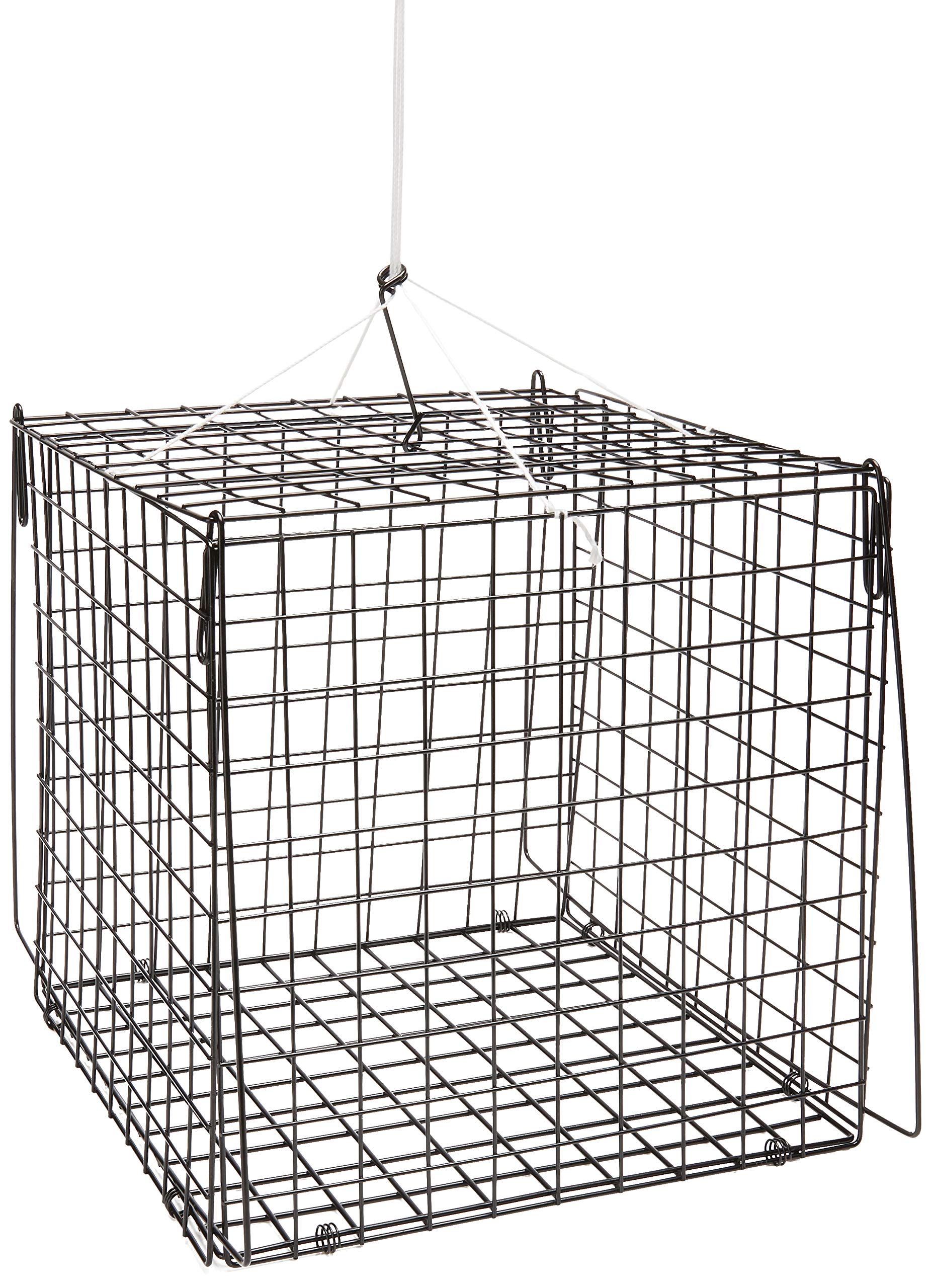 South Bend Hurricane F210 Crab Trap, square 10.5x10.5x10.5, rust-resistant