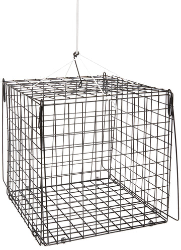South Bend Hurricane F210 Crab Trap, square 10.5x10.5x10.5, rust-resistant