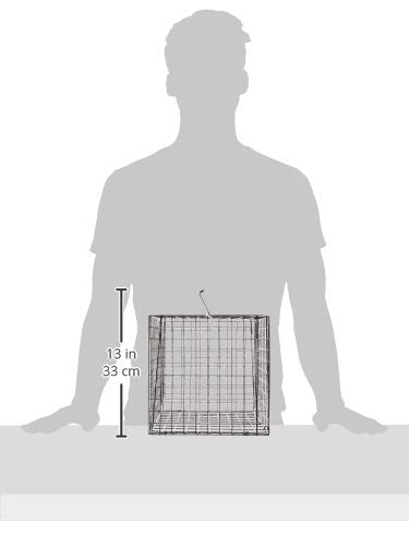 Rust-resistant crab trap for saltwater fishing