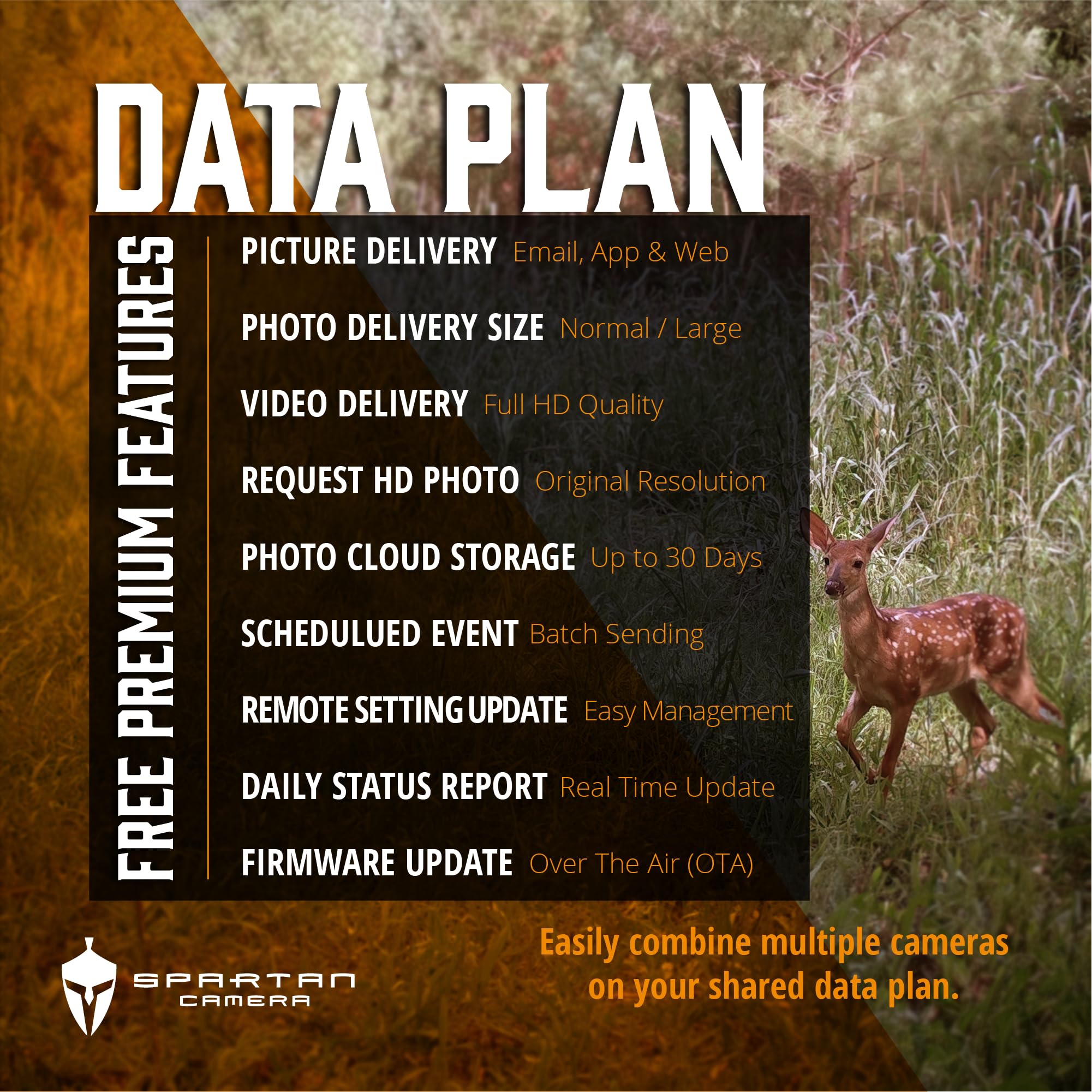Spartan Camera GoLive real-time updates push settings and media instantly to your app.