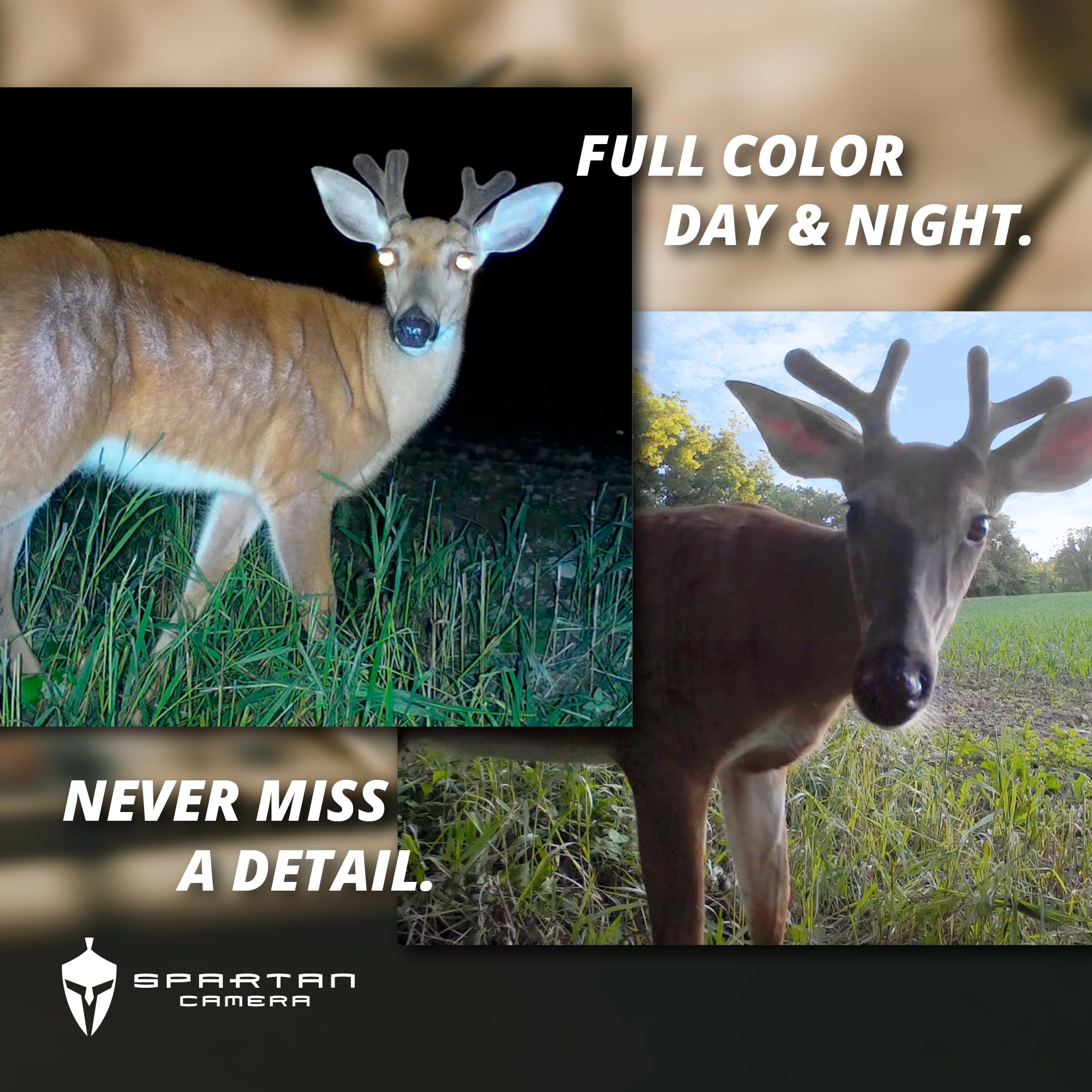 Spartan Camera Lumen detects motion up to 60 feet for reliable wildlife monitoring.