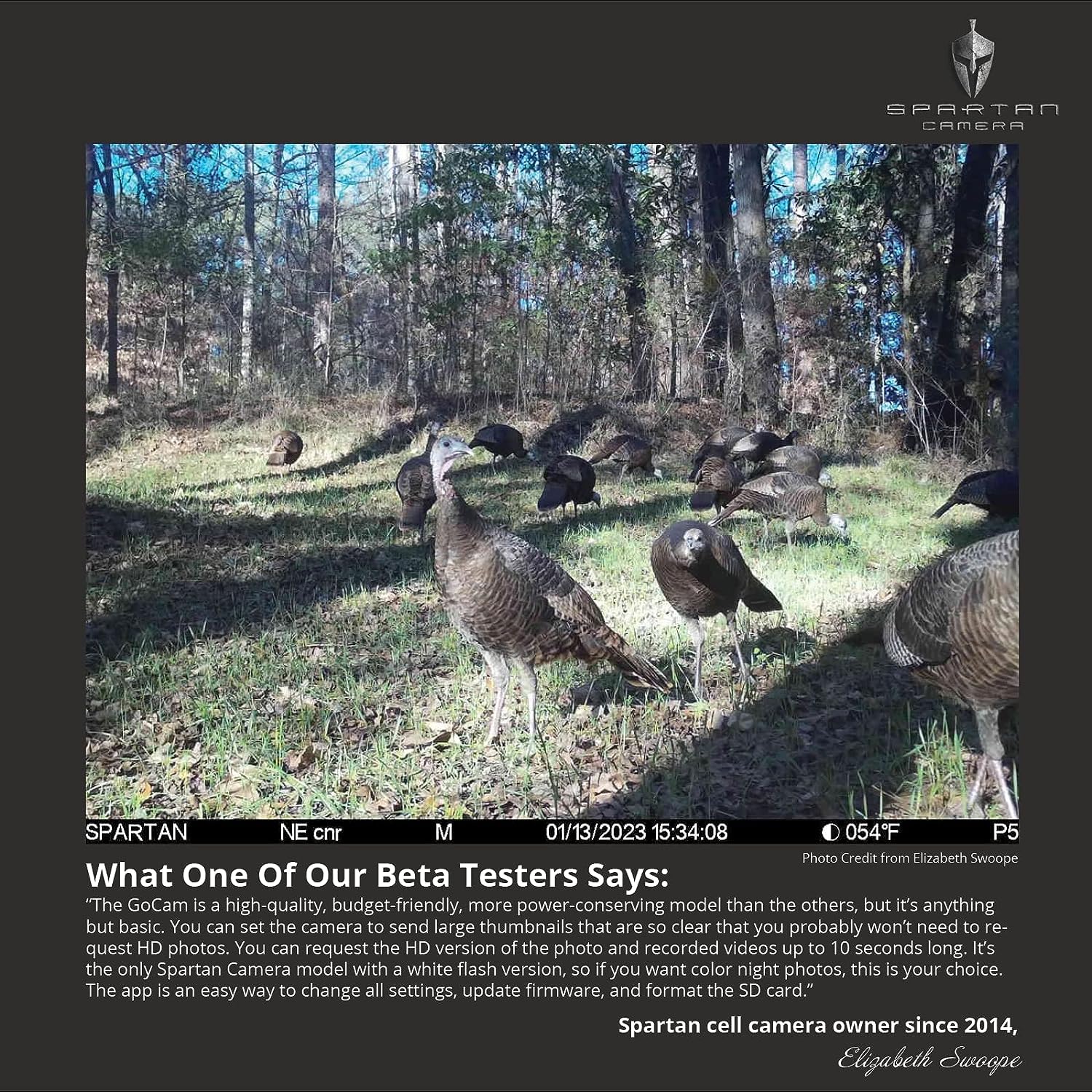 Spartan Camera Gocam 4G LTE on forest trail capturing wildlife activity.