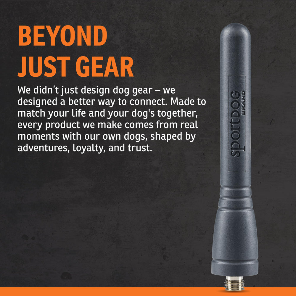 SportDOG replacement antenna for SD-1825CAMO blends with camo gear.
