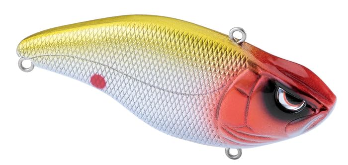 Spro Aruku Shad 65 Delta Chrome profile highlighting realistic finish to attract predators