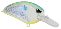 SPRO Little John MD TR50 Citrus Shad lure shown in angler view for precise casting