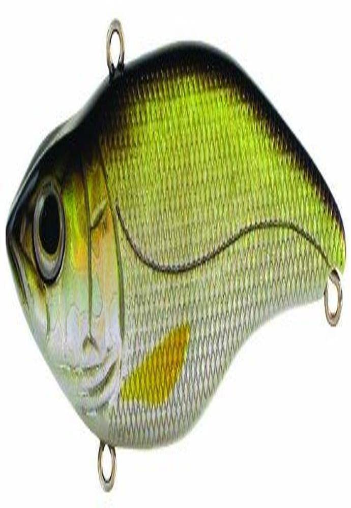 Spro Aruku Shad 65 Wild Shiner bait, 1/2 oz