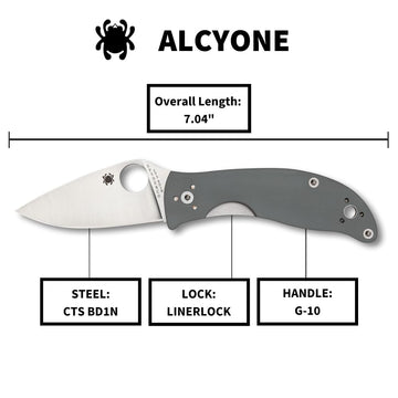 Spyderco Alcyone 4-way pocket clip supports versatile carry.