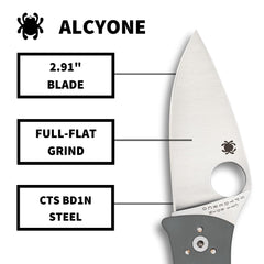Spyderco Alcyone round hole enables ambidextrous one-handed opening.