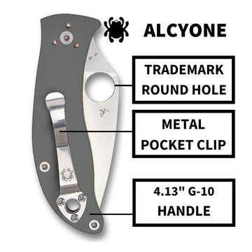 Spyderco Alcyone Walker Linerlock ensures reliable blade deployment.