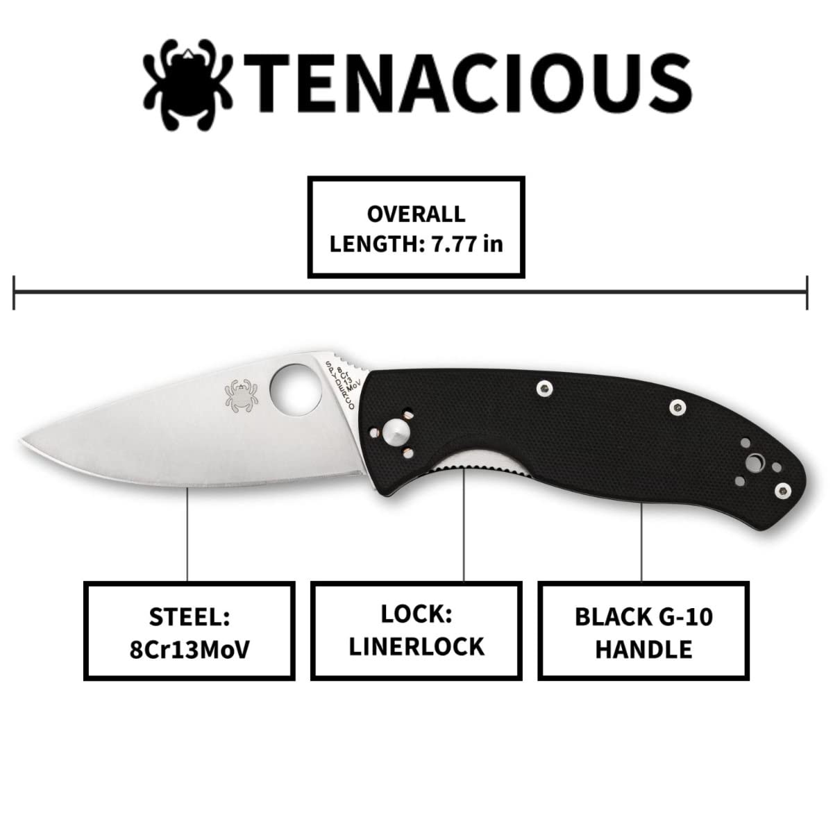 CombinationEdge blade option on Spyderco Tenacious