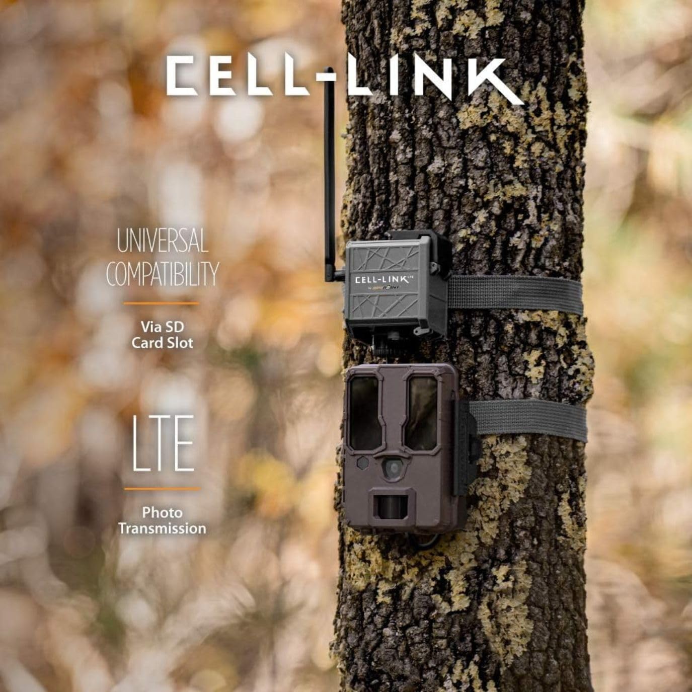 Hidden installation with SPYPOINT Cell-Link maintains concealment while sending photos via the app.