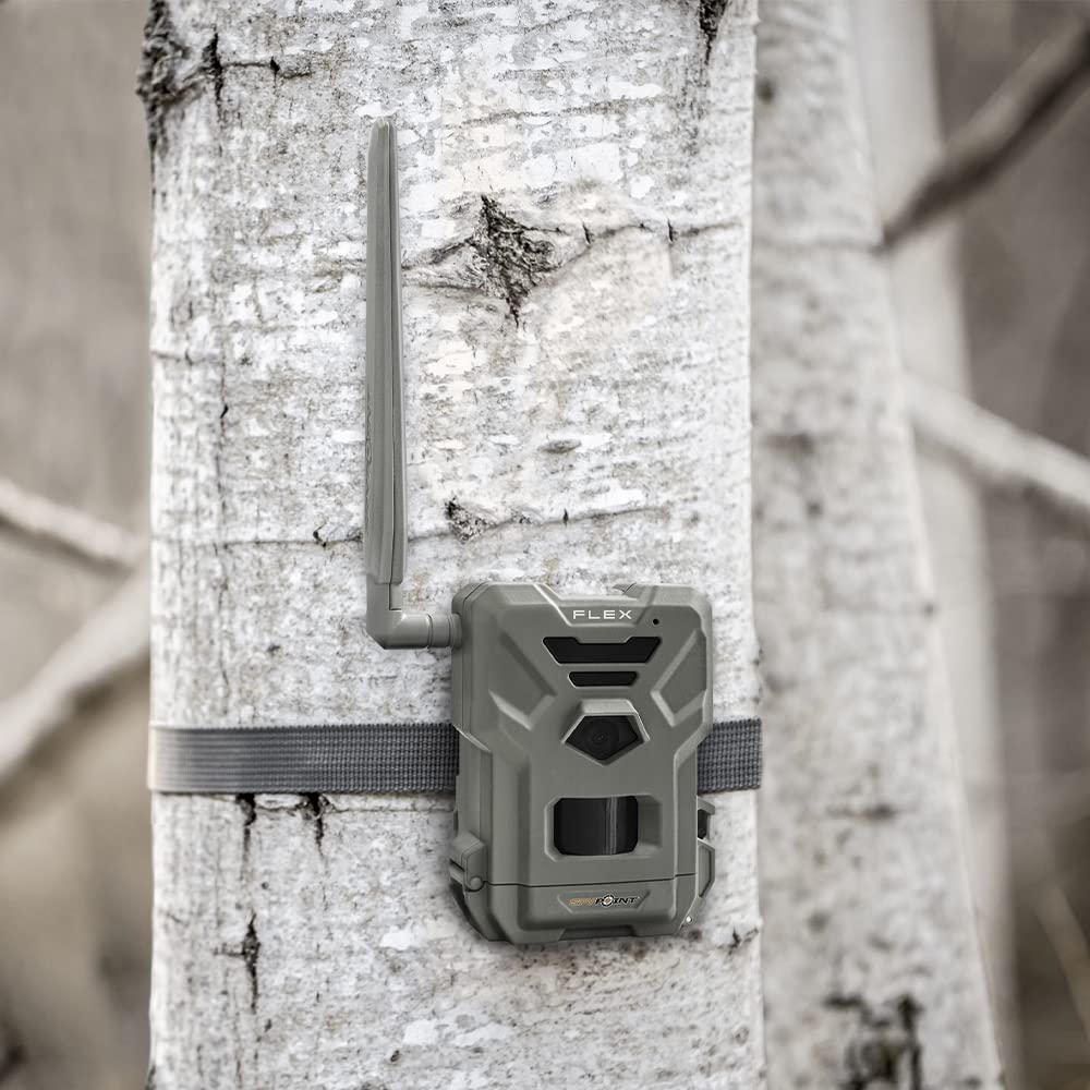 SPYPOINT Flex dual-SIM setup simplifies network access in the field