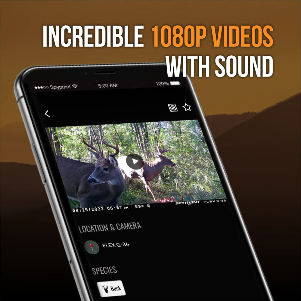 SPYPOINT Flex G-36 1080p video capture with sound for realistic trail footage.