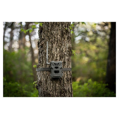 SPYPOINT Flex-M network coverage demonstrates cross-carrier connectivity for remote scouting.