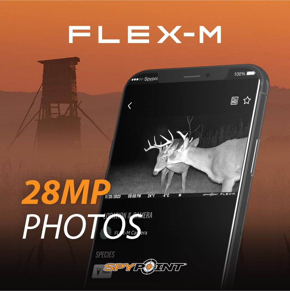 SPYPOINT Flex-M time-lapse-setup emphasizes automated interval photography for long monitoring.