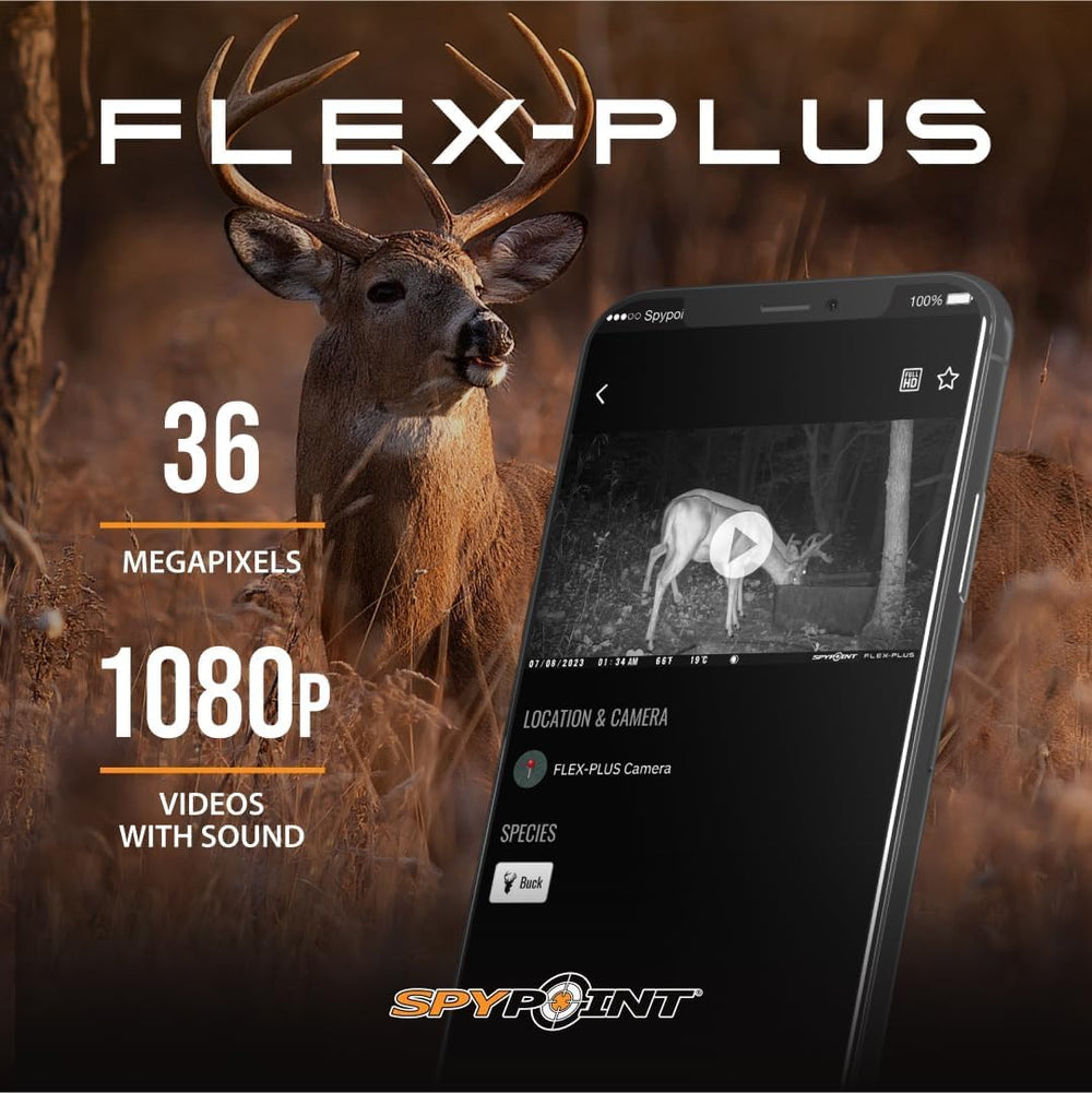 SPYPOINT Flex-Plus Ultimate Pack 1080p video with sound showcases lifelike footage.