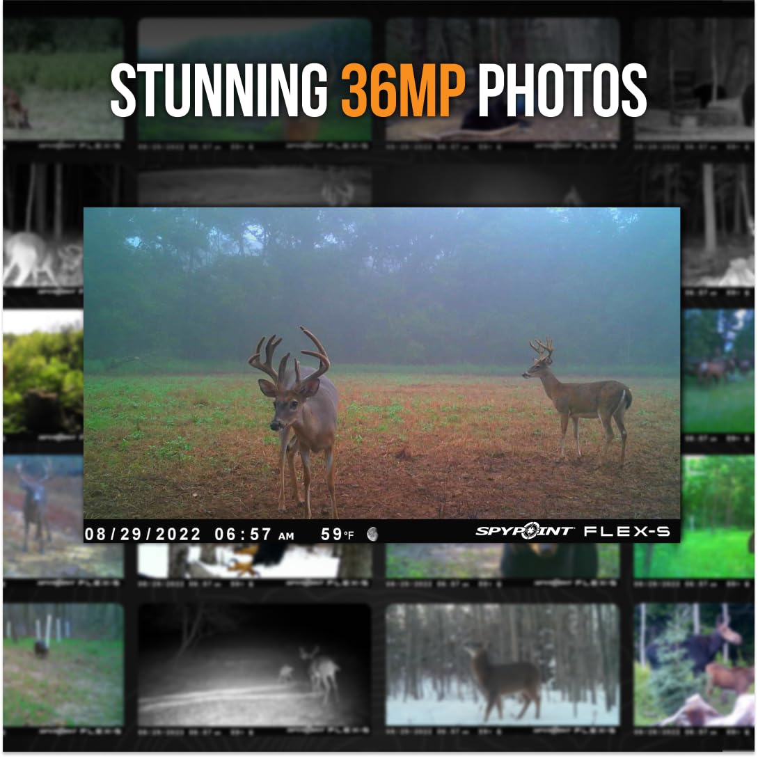 SPYPOINT app notifications deliver photos to your devices instantly