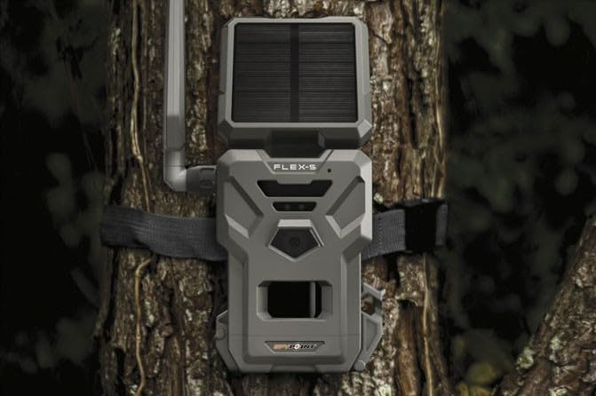 SPYPOINT Flex-S Dark 36MP photo quality for wildlife detail.