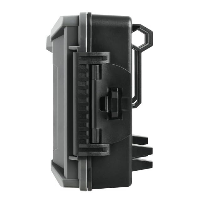 SPYPOINT Force 24 2K night video sample reveals day-to-night clarity.
