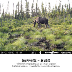 SPYPOINT FORCE-PRO 110' detection range covers wide areas for comprehensive scouting.